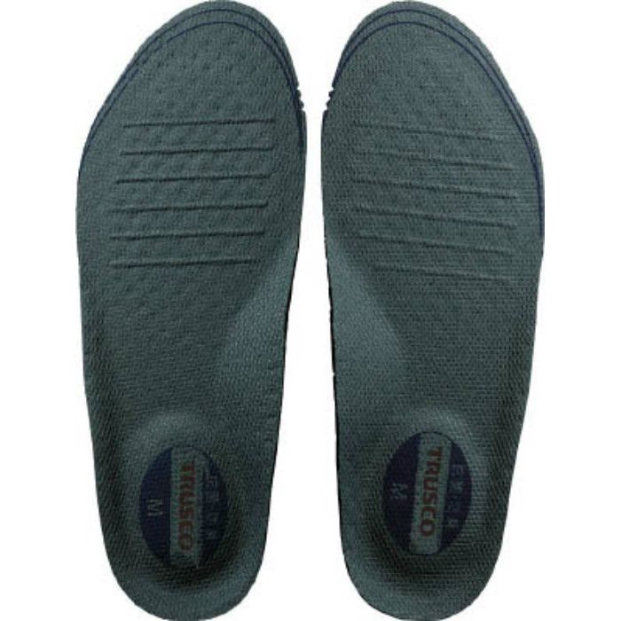 【入荷時期未定】TISM 踏み抜き防止板入 インソール M