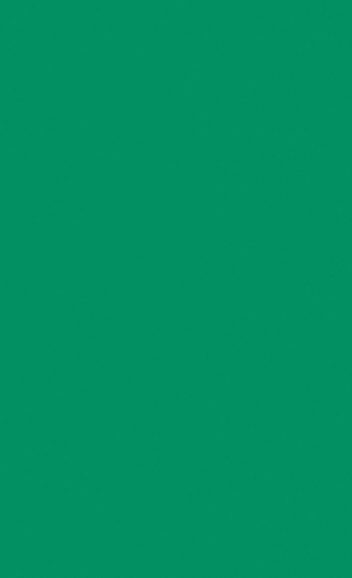 PS-135 ダイノック ソリッドカラー