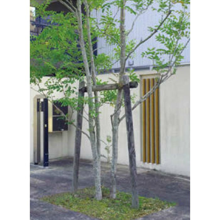 公共工事用杭 サポートウォール KYS-66K 56235000 クレオソート