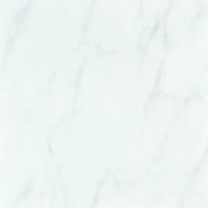TS810 インタータイル(ストーンシリーズ) 複層ビニル床タイル 石目調 / ビアンコカララ