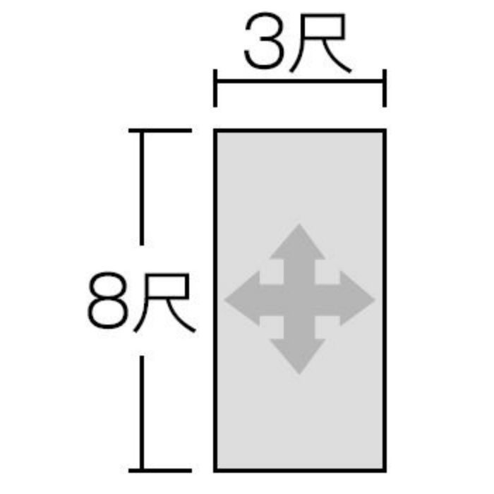 FQN6119ZMN セラール 3×8 2枚入