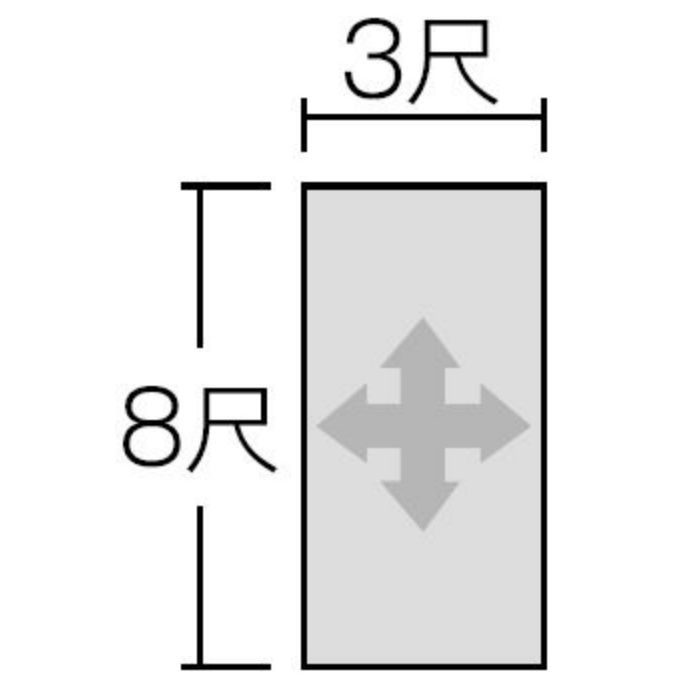 FAN1804ZMN セラール 3×8 2枚入【セール開催中】