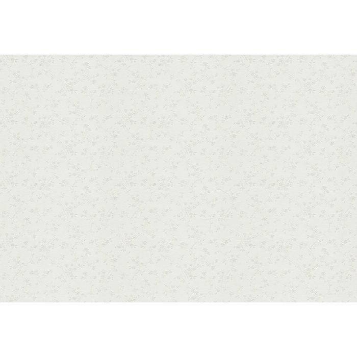 WVP2117 パワー1000 Natural&Casual（ナチュラル&カジュアル）