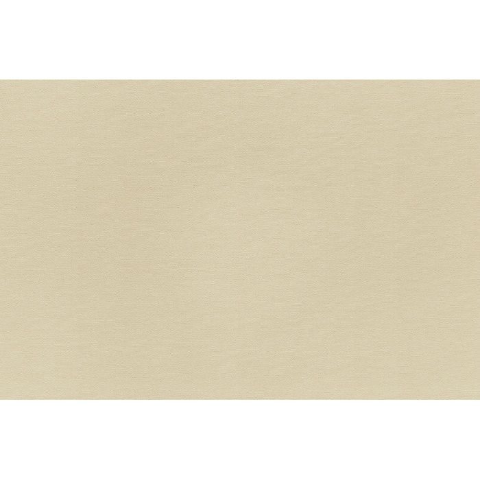 WVP2371 パワー1000 フィルム抗菌汚れ防止・消臭「ファンクレア」