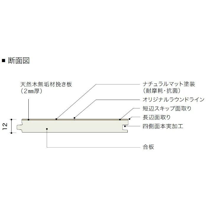 PMT2KJ48 ライブナチュラル プレミアム STANDARD ブラックチェリー 2Pタイプ303mm