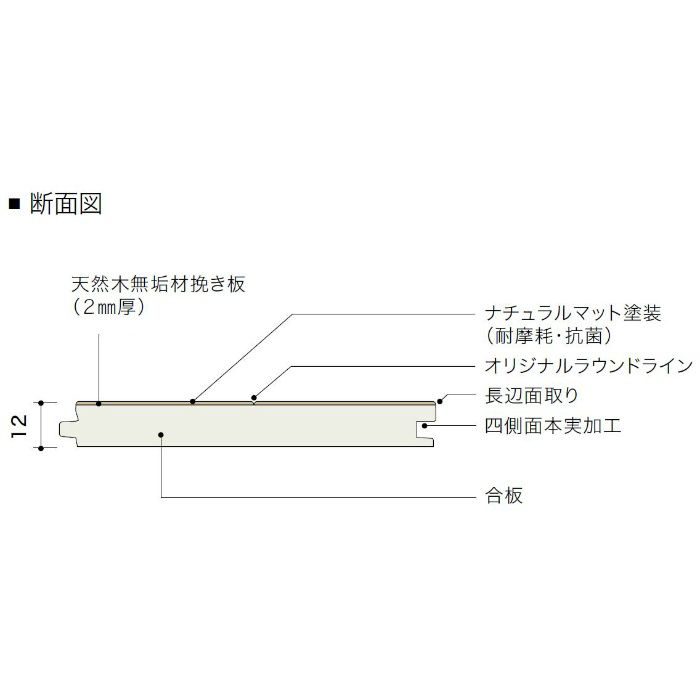 PDTASKJ48 ライブナチュラル プレミアム nendo collection/stream slim ブラックチェリー