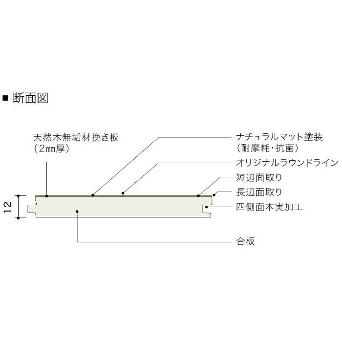 PDTAGKJ17 ライブナチュラル プレミアム nendo collection/grid ハードメイプル 303mm