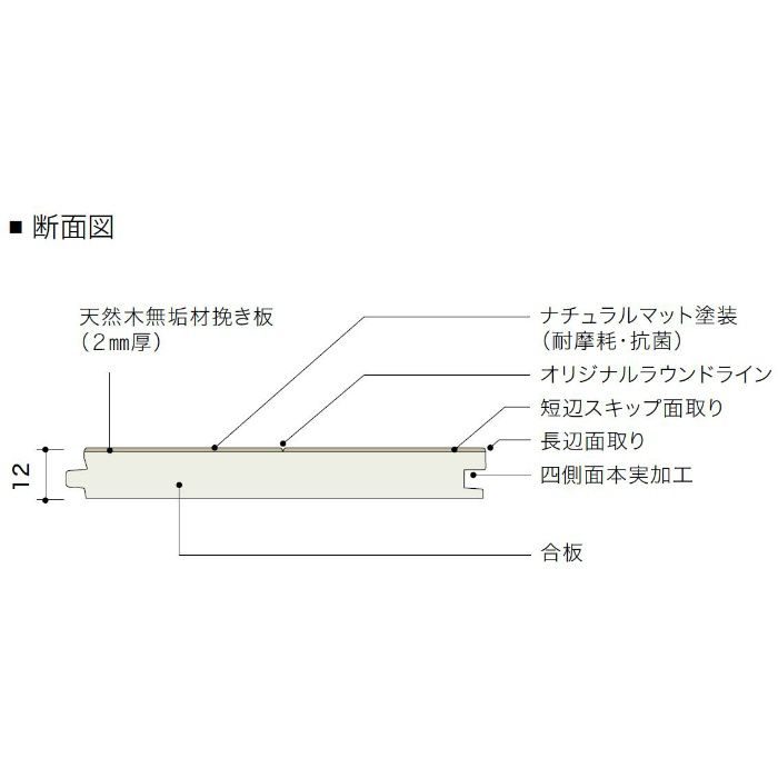 PDTAAKJ17 ライブナチュラル プレミアム nendo collection/amida ハードメイプル 303mm