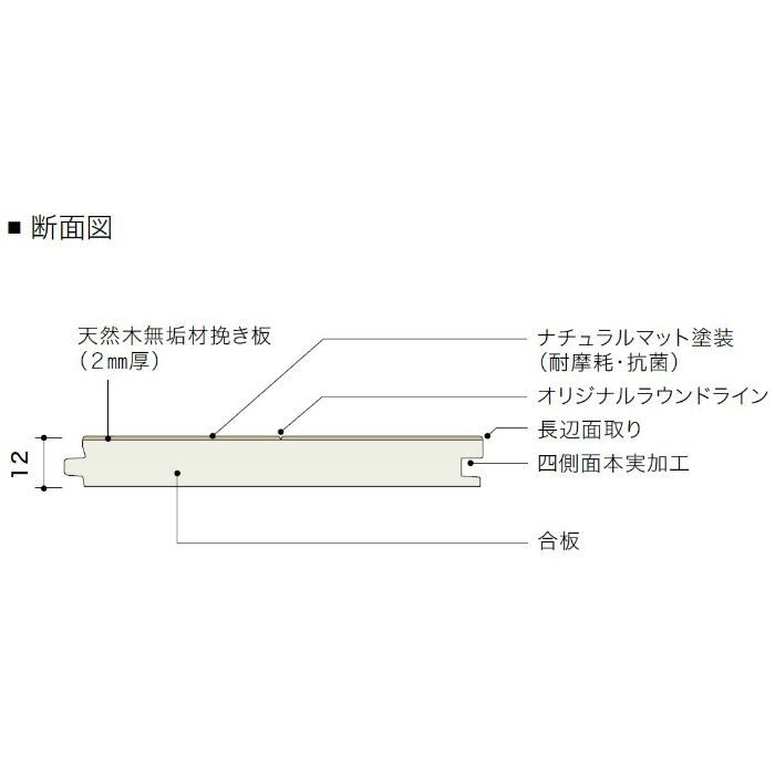 PDTAMKJ48 ライブナチュラル プレミアム nendo collection/amida ブラックチェリー 2Pタイプ303mm