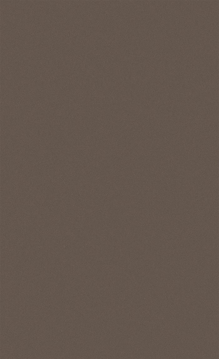 PA-038EX ダイノック フィルム EXシリーズ 屋外耐候性フィルム