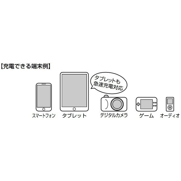 埋込充電用 USBコンセント DM2-U2P2型 2ポートタイプ ホワイト DM2-U2P2-WT