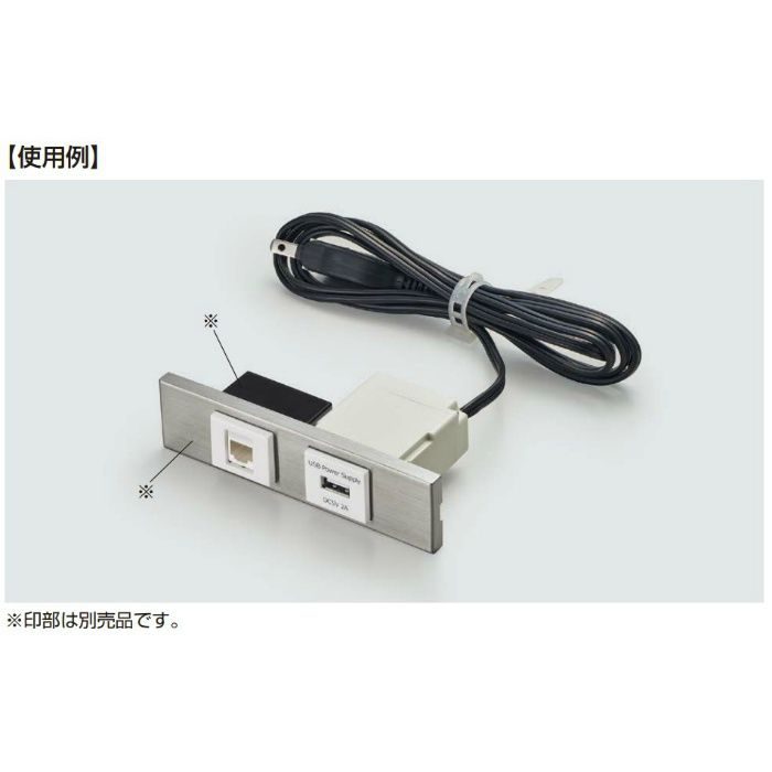 ランプ印 埋込充電用USBコンセント DM1-U1P2型 ホワイト DM1-U1P2T-WT