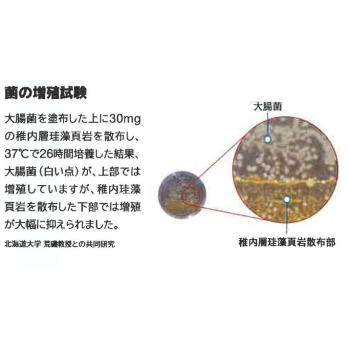 北のやすらぎスマイル（調湿塗り壁） SWI-20 琥珀色（こはくいろ） 10kg／袋