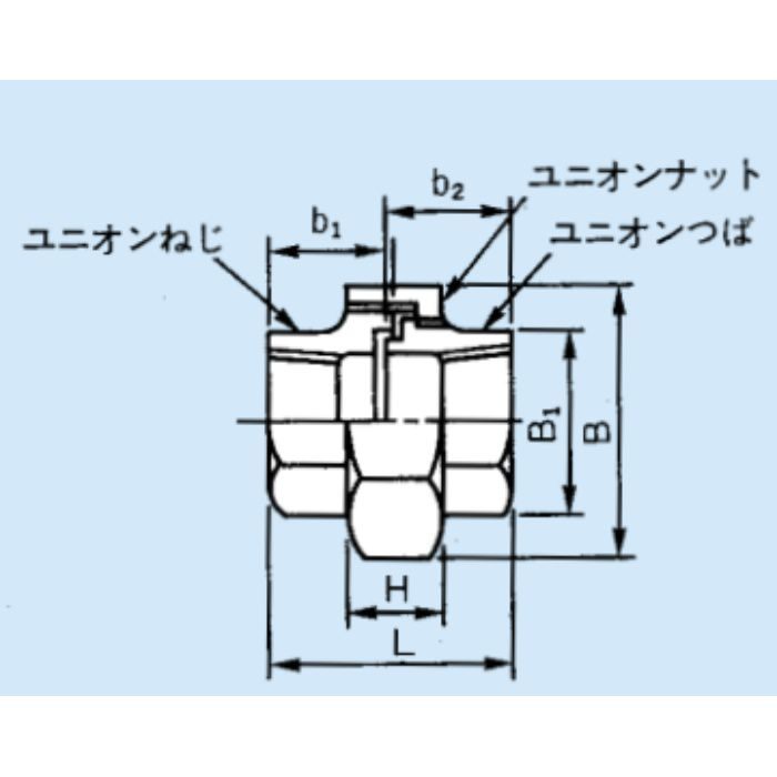 U 白継手(SGP) 六角ユニオン パッキン付き 32A