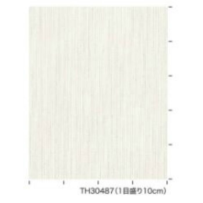 TH30487 フェイス Texture&Color 消臭・フィルム汚れ防止壁紙