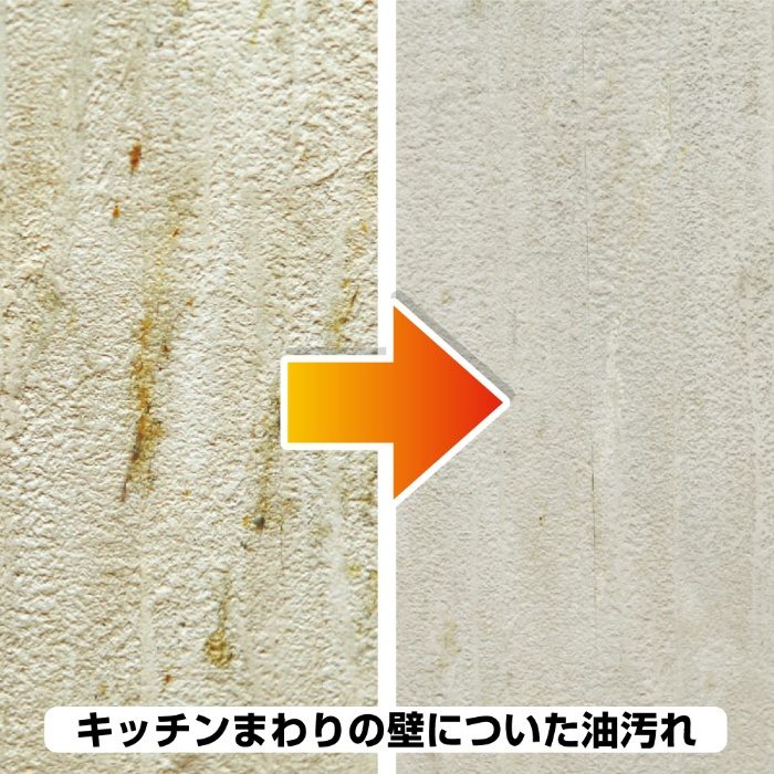室内かべ用油汚れ・カビ取りクリーナー 300ml