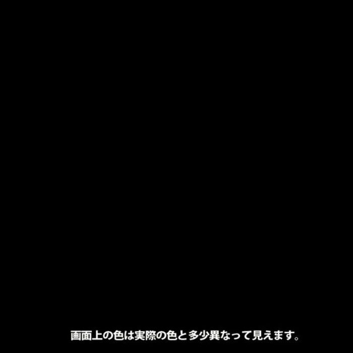 カンペラッカースプレーA 300ml つや消しくろ 油性つやあり・つやけし