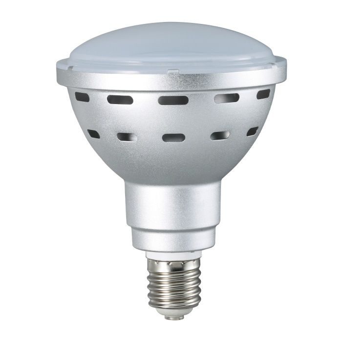 HATAYA 45W LED電球 LDR45N-H110 LDR45N-H110 45WLED電球 ハタヤリミテッド【アウンワークス通販】
