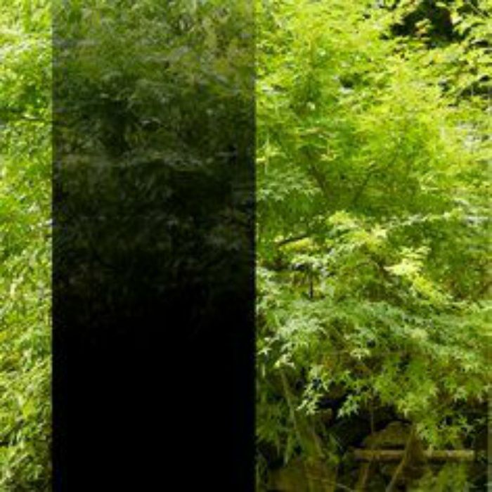 SH2BKIM ファサラ ガラスフィルム Gradation イルミナ ブラック 1270mm×30m巻