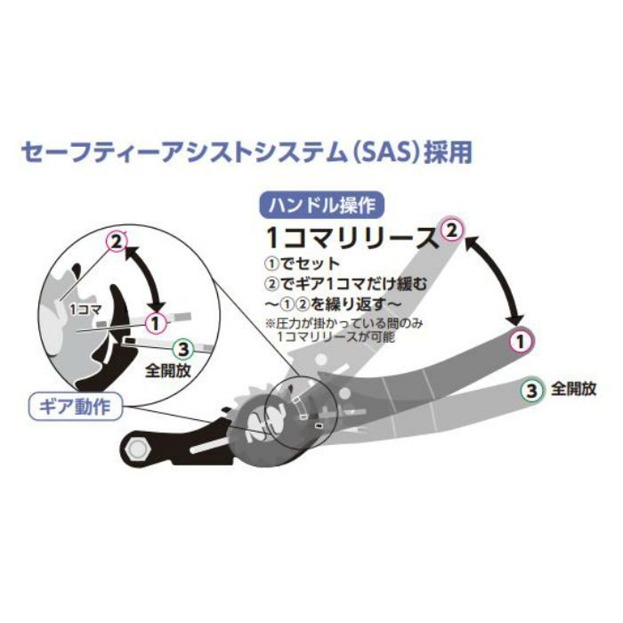 LBR803M L10-50L ラッシングベルト ラチェットバックル LBR800Mシリーズ シボリ縫製