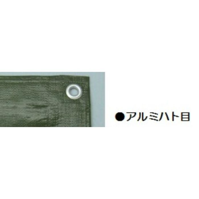 OGS-11 ODグリーンシート ＃3000 3.6m×5.4m
