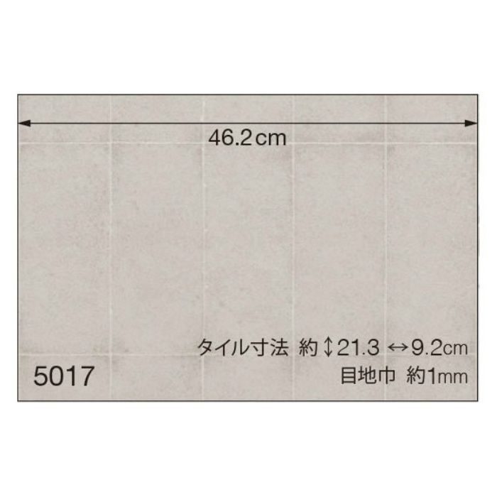 BA5017 ビッグエース モダン 防かび