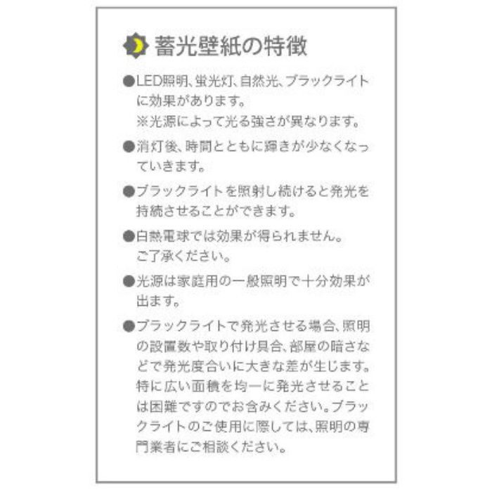 BA5511 ビッグエース 機能の家 蓄光壁紙