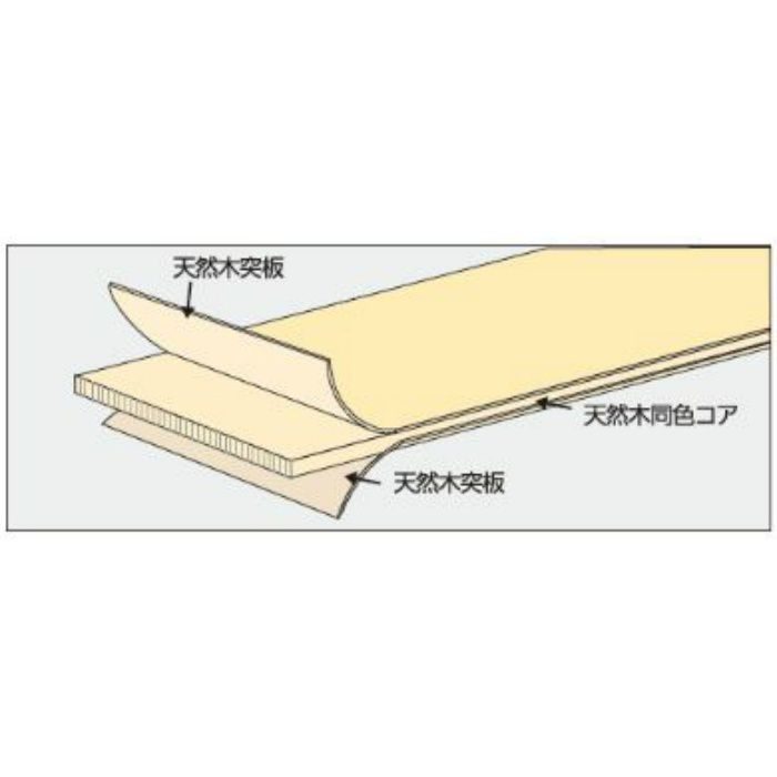 天然木積層木口材 HIKIZAI シオジ（タモ） 3mm×300mm×3030mm 2枚入