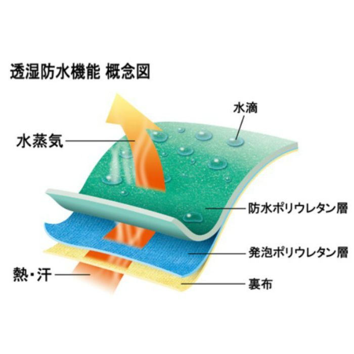 NO282-LL 防寒テムレス LLサイズ