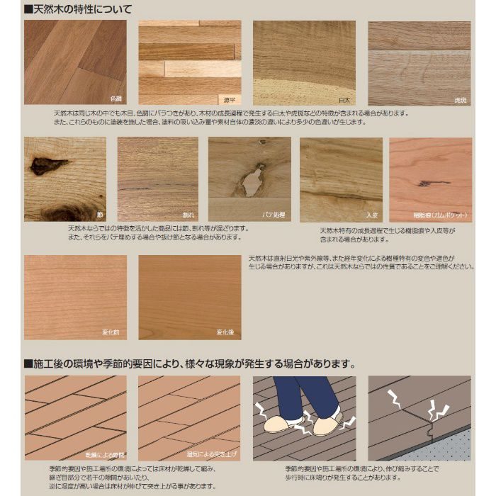 OW-6001 ワイルド（ナラ節あり）  150mm巾 2mm厚単板 24枚入