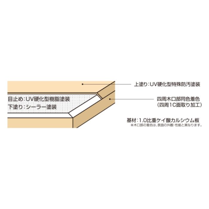 Decorフネン クリーンタフ 100－6mm TF－080色 6×910×2420mm