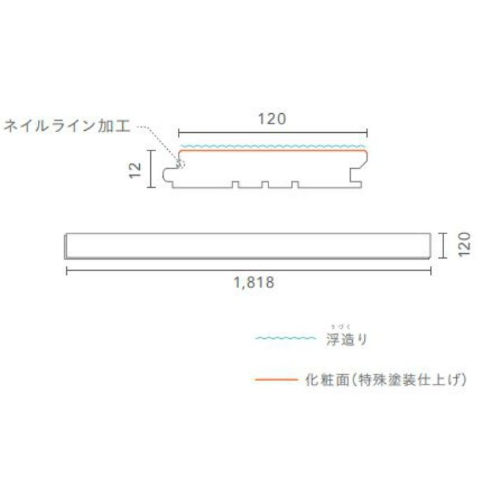 FGK64UA-237 KITOIRO ナチュラルカラー フローリング NATURAL8【アウン 