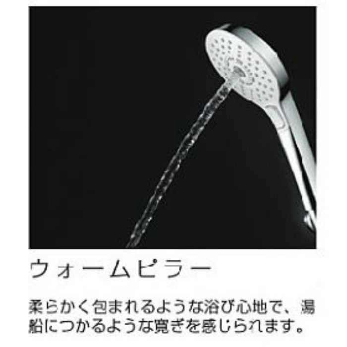 CET8003 ハンドシャワーヘッド （3段切替）