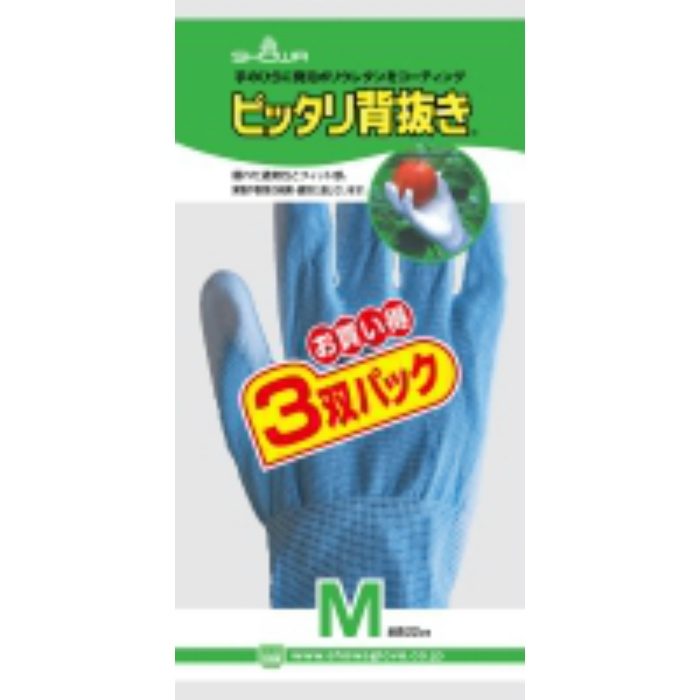 NO260-M-3P ピッタリ背抜き Mサイズ 3双パック