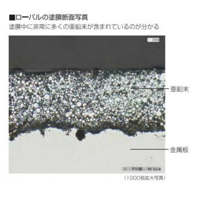 R-1KG ローバル 1kg缶
