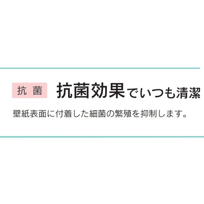 BB9128 ベスト 織物調 リフクリーン ハードタイプ