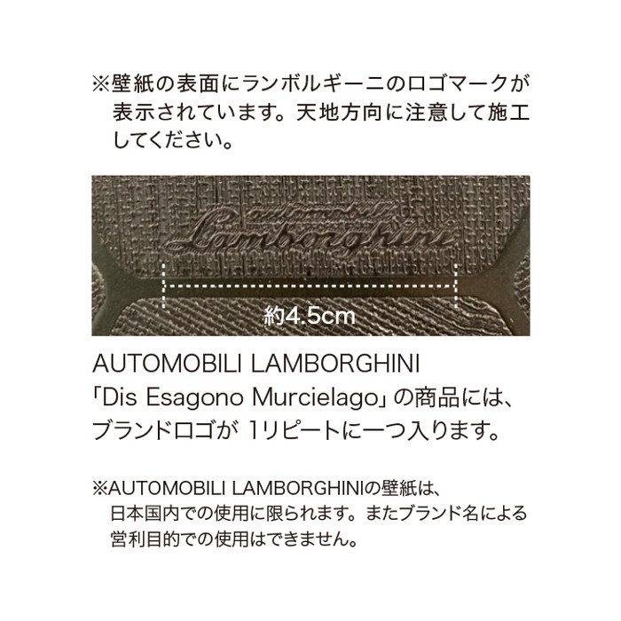 SGB-2313 エクセレクト Brand Selection AUTOMOBILI LAMBORGHINI Dis Esagono Murcielago