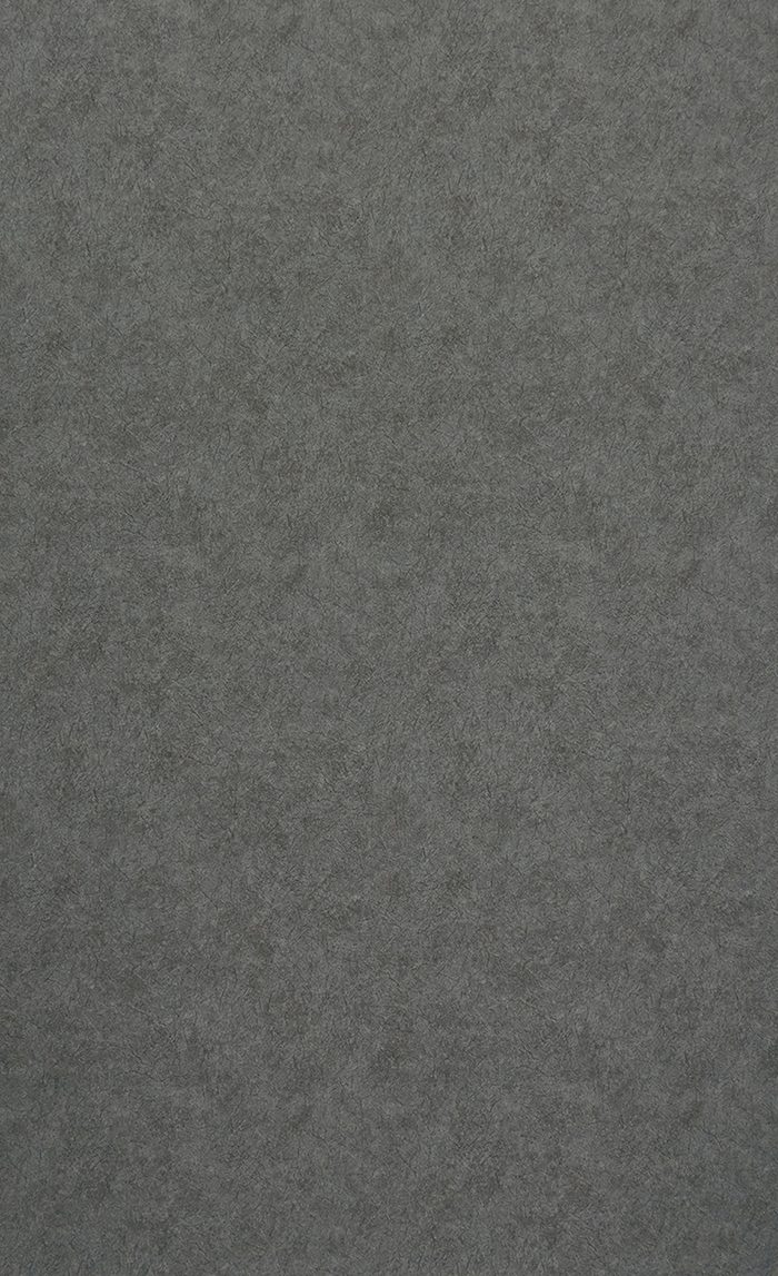 FA-025DR ダイノックフィルム DRシリーズ 玄関ドア用フィルム 抽象