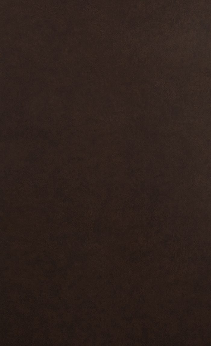 LE-517DR ダイノックフィルム DRシリーズ 玄関ドア用フィルム レザー