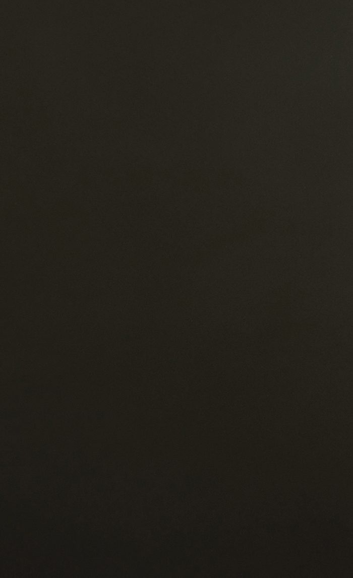 PS-037DR ダイノックフィルム DRシリーズ 玄関ドア用フィルム