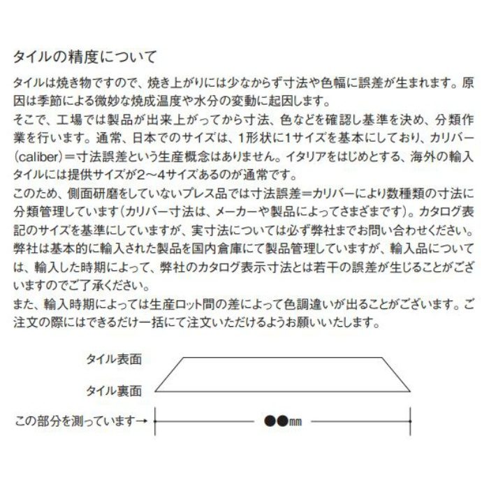 SIN-101/300 シントラ 300角平 10枚／ケース