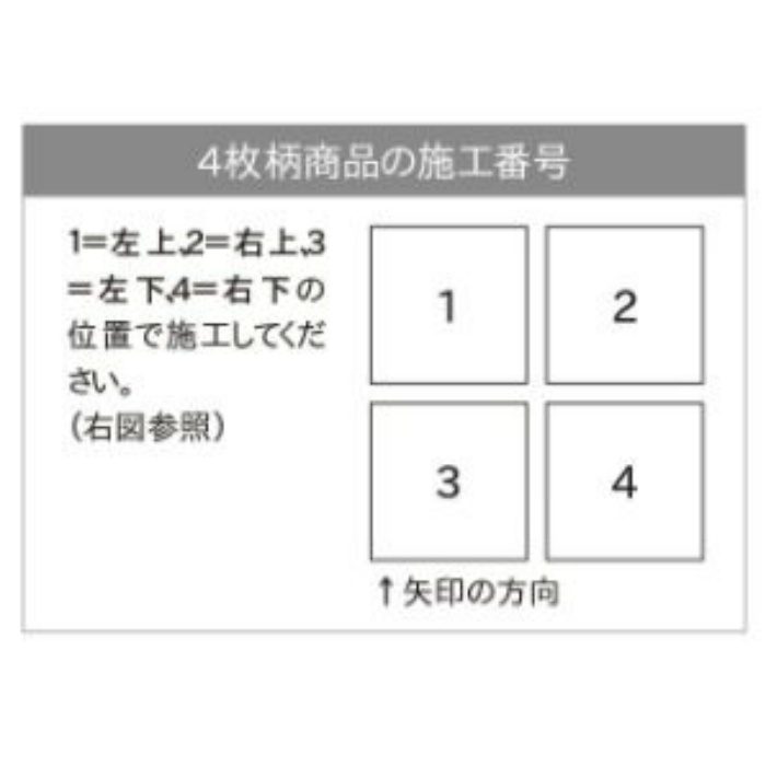 AB670-2 ピクタ CJパターンライブラリー ナチュラル ビッグ AB670-2 ピクタ CJパターンライブラリー ナチュラル ビッグ