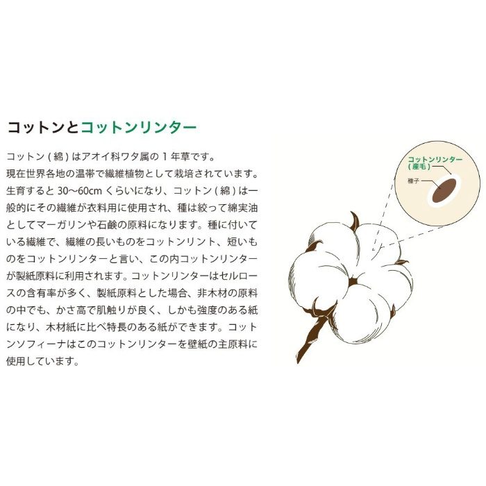 CS463 コットンソフィーナ 巾92cm