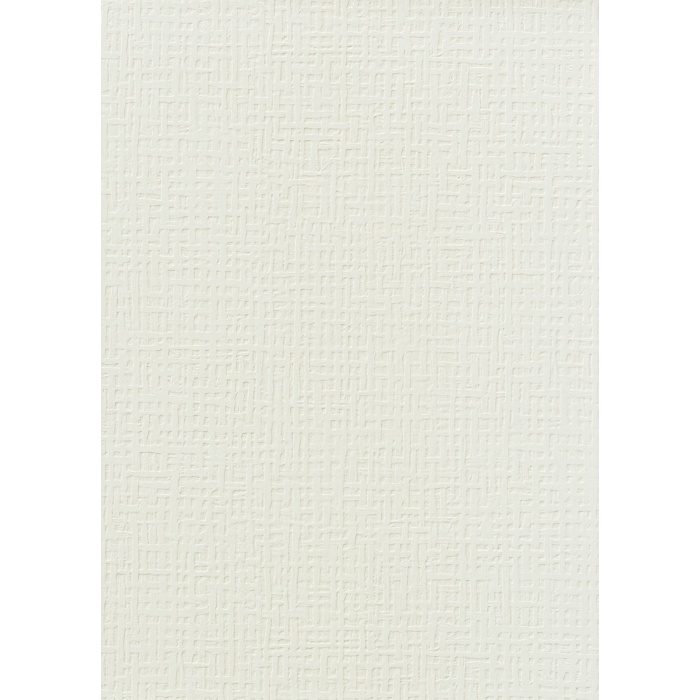 CS491 コットンソフィーナ 巾92cm