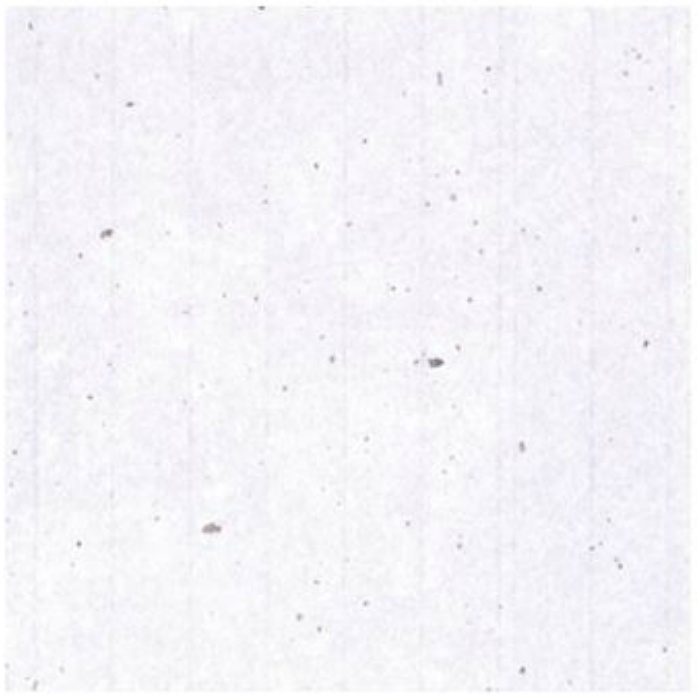 No.103 ワーロンシート スタンダードタイプ ベーシックシリーズ 楮皮入り 厚み0.2×930×1850mm