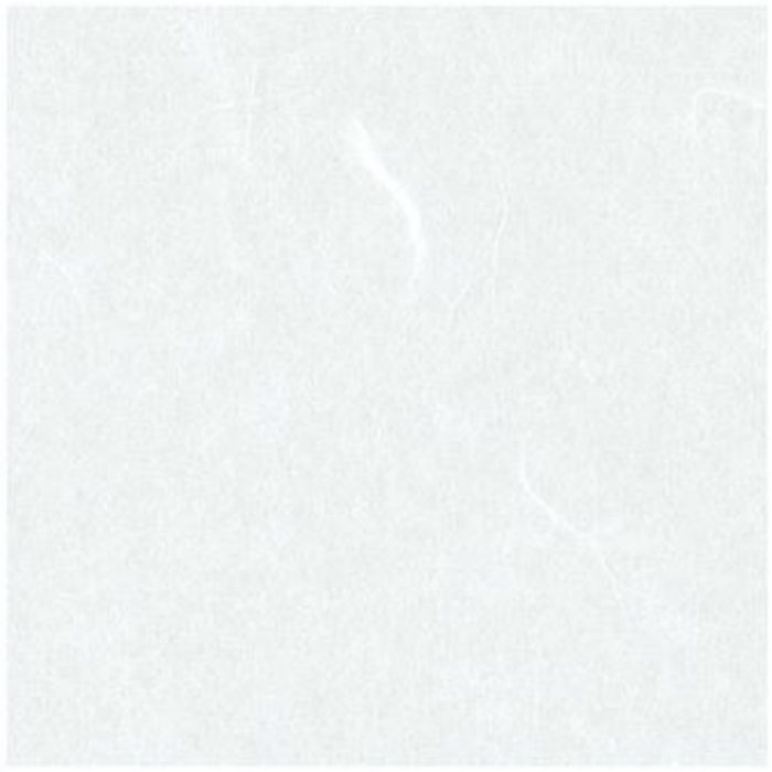 TW-2 ワーロンPETシート 雲竜 厚み0.2×930×2150mm