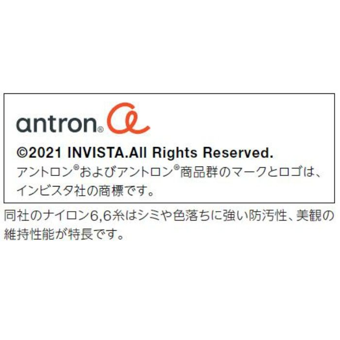 TZ03-542 カーペットタイル タピス ディストーション 10mm厚 12枚入