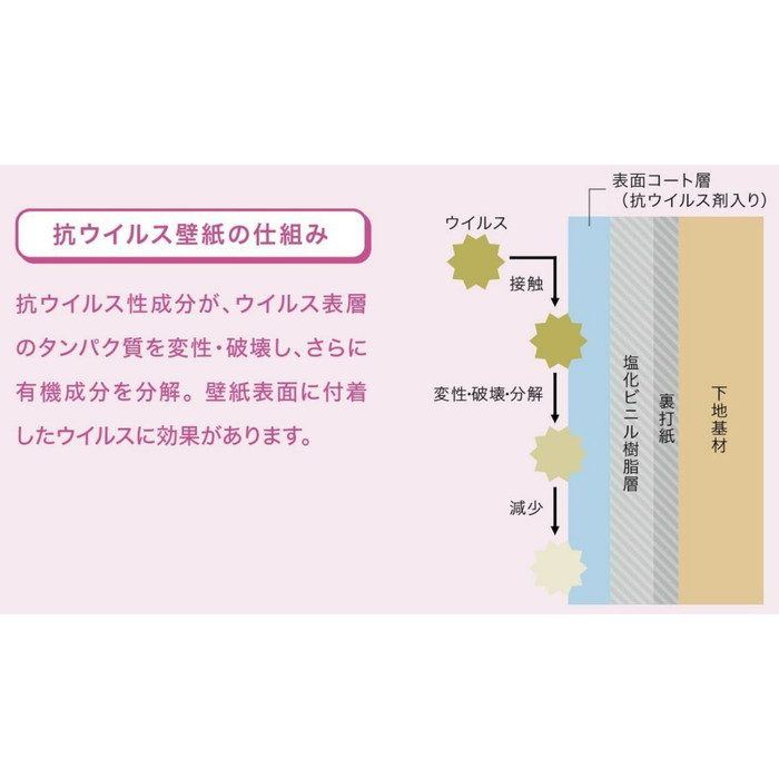 RE53796 リザーブ 抗ウイルス