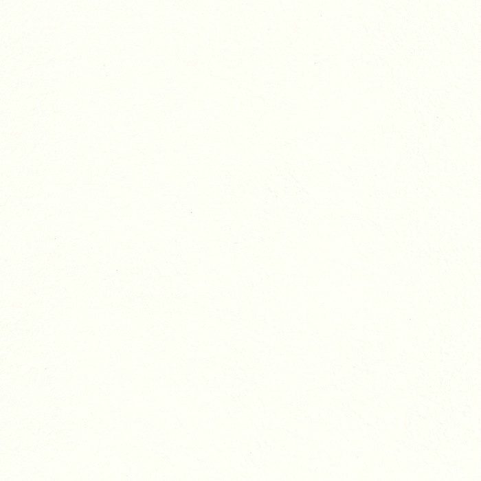 LL-7953 ライト（LIGHT） 抗ウイルス 「ウイルスアーマー」