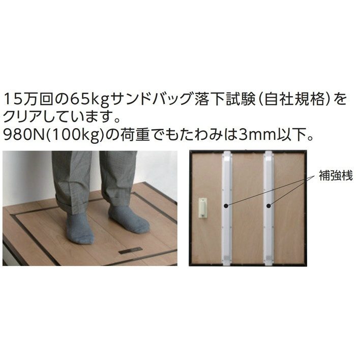S621ZJ アルミ枠 床下点検口 収納庫用枠 600角タイプ 対応板厚21mm シルバー